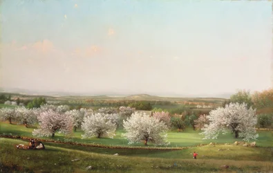 Apple Orchard, 1878